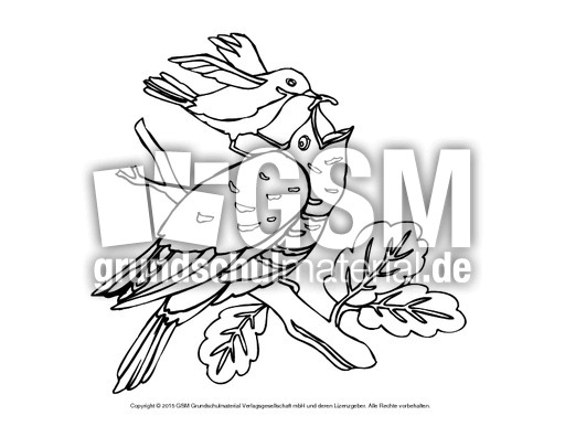Ausmalbild-Kuckuck.pdf